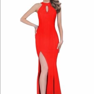 Terani Couture Gown